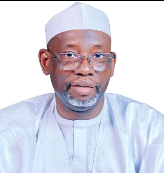 Jigawa State Governor